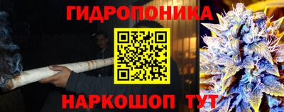 гашишное масло Берёзовский