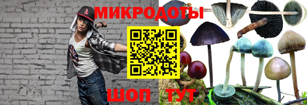 где купить   Галлюциногенные грибы GOLDEN TEACHER  Вход с VPN  Заволжье 